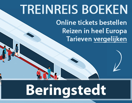 treinkaartje-beringstedt-duitsland-kopen