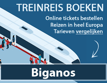 treinkaartje-biganos-frankrijk-kopen