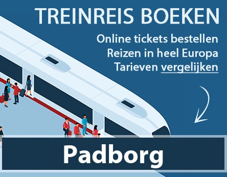 treinkaartje-padborg-denemarken-kopen