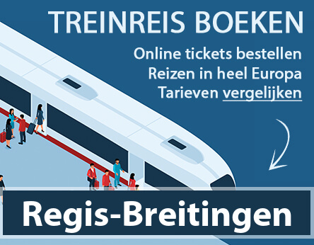 treinkaartje-regis-breitingen-duitsland-kopen